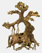 Bonsai Driftwood - XS (13x10x13cm)